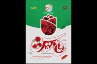 سیزدهمین نشریه «فام» منتشر شد