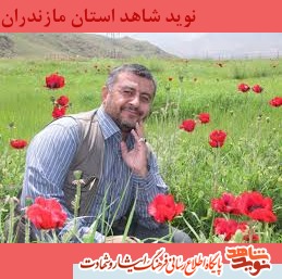 زندگينامه شهيد مدافع حرم سردار حاج اسماعيل حيدرى زندگينامه شهيد مدافع حرم سردار حاج اسماعيل حيدرى