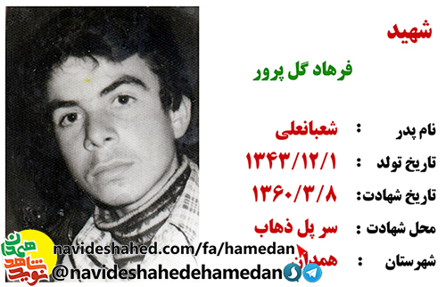 زندگینامه شهید فرهاد گل پرور زندگینامه شهید فرهاد گل پرور