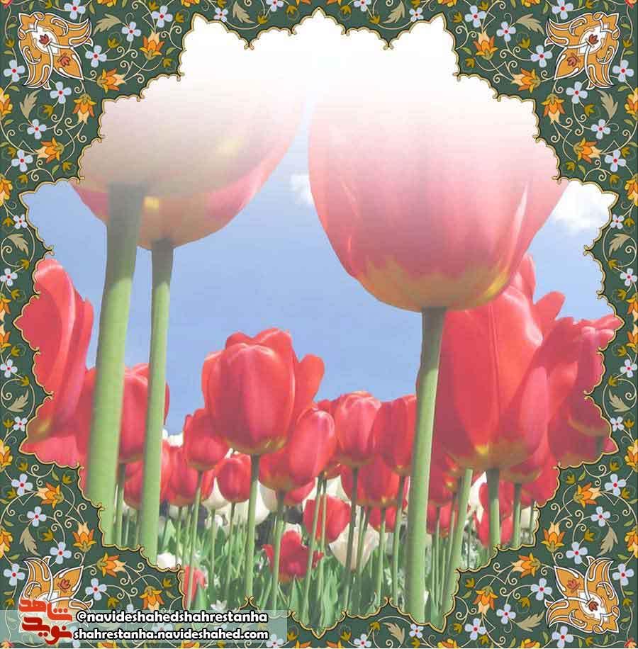 مبارزی کوچک، با اراده ای بزرگ مبارزی کوچک، با اراده ای بزرگ