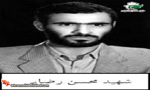 ویژه نامه 