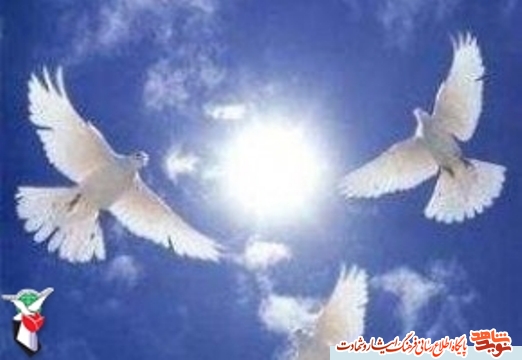 اى شاهدان تاريخ ديدار تازه گردد / فالى گرفته ام من دوش خونين نمود فالم اى شاهدان تاريخ ديدار تازه گردد / فالى گرفته ام من دوش خونين نمود فالم