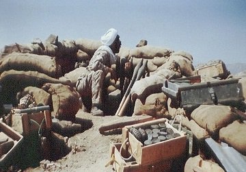 هرمزگان ۲۴ شهید روحانی دارد هرمزگان ۲۴ شهید روحانی دارد
