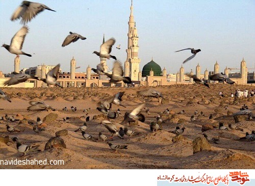 برتری علمی امام صادق (ع) مورد تایید همه مذاهب است برتری علمی امام صادق (ع) مورد تایید همه مذاهب است