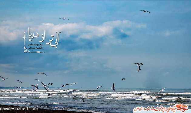 آبی‌تر از دریا + عکس