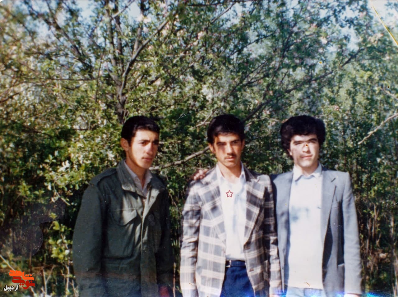 تصاویر کمتر دیده شده از شهید «محمد پناهی»
