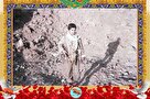 شهید «احمد فوادیان» به روایت تصویر
