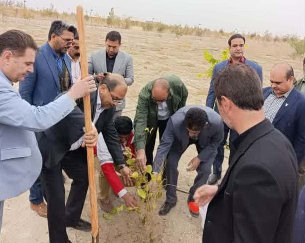کاشت نهال به نام و یاد شهدا