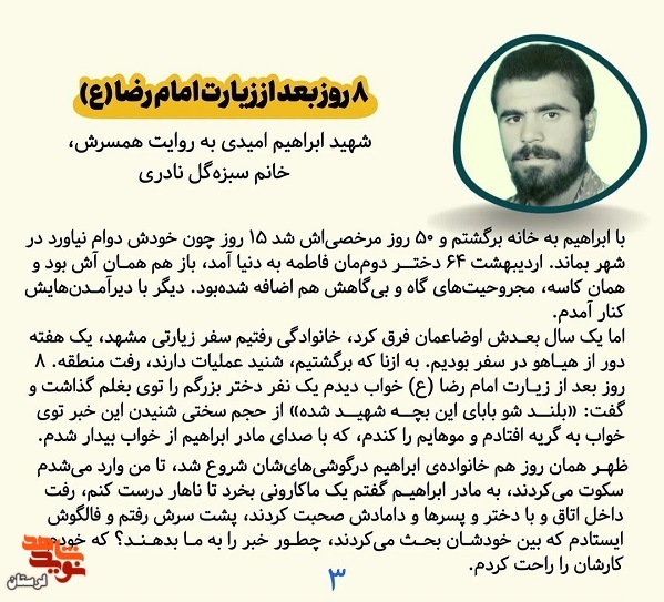8 روز بعد از زیارت امام رضا «ع»