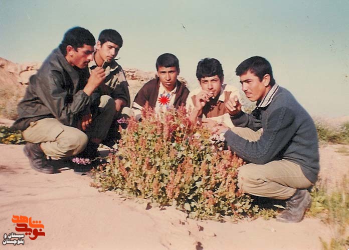 آلبوم تصاویر شهید«حسین شمسی» منتشر شد