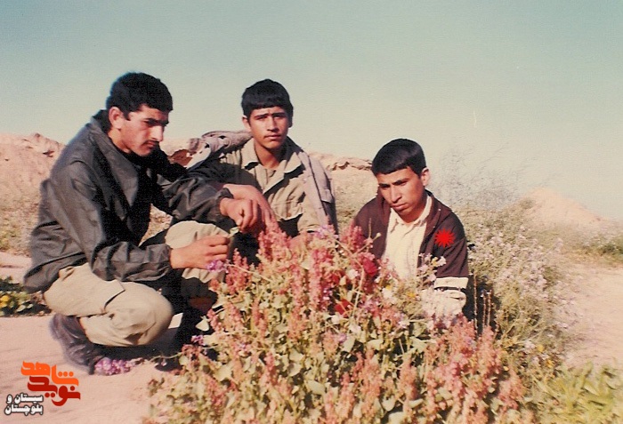 آلبوم تصاویر شهید«حسین شمسی» منتشر شد