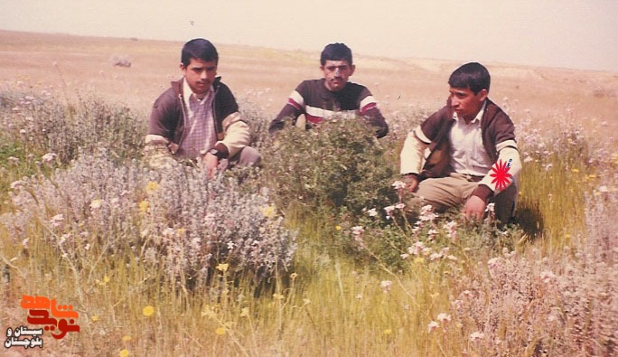 آلبوم تصاویر شهید«حسین شمسی» منتشر شد