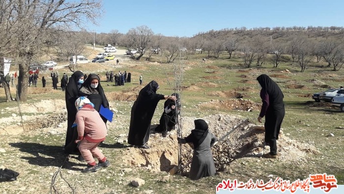 کاشت نهال به مناسبت گرامیداشت لشکر فرشتگان تاریخ ساز