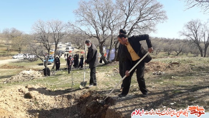 کاشت نهال به مناسبت گرامیداشت لشکر فرشتگان تاریخ ساز