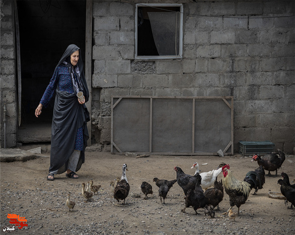 مادر شهید ابراهیم حسنی خواه جفرودی
